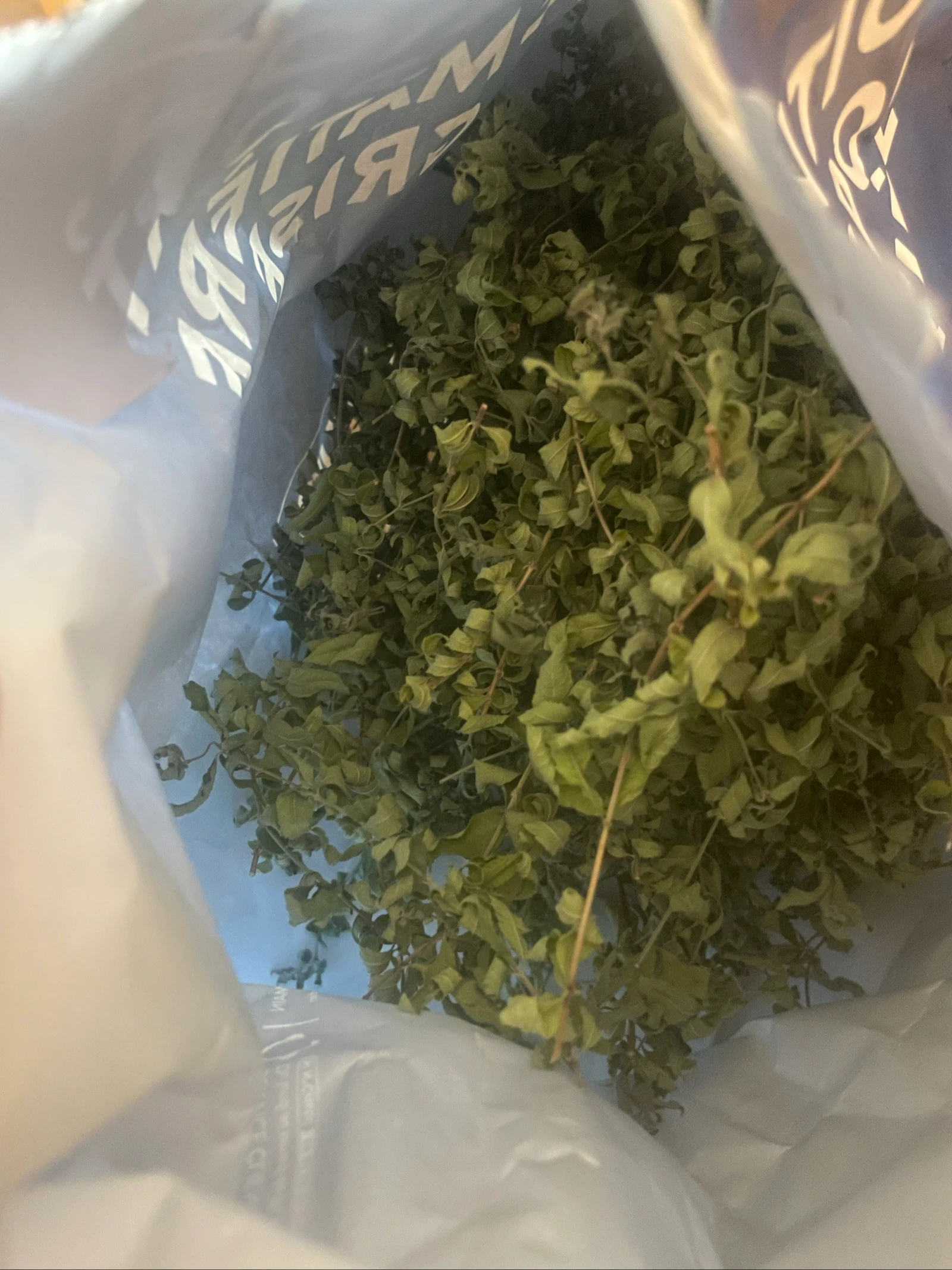 Southern Lemon Verbena – photo 2